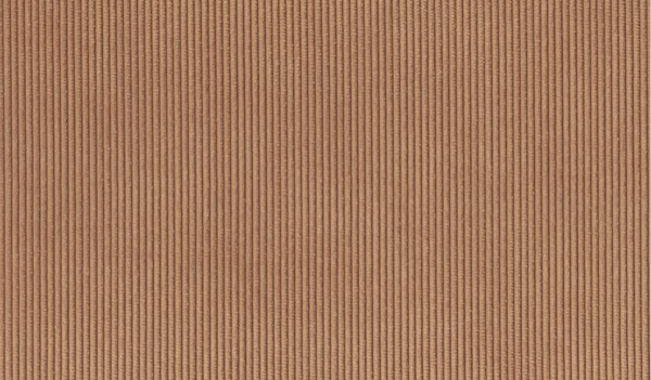 Audinys Almond 08
