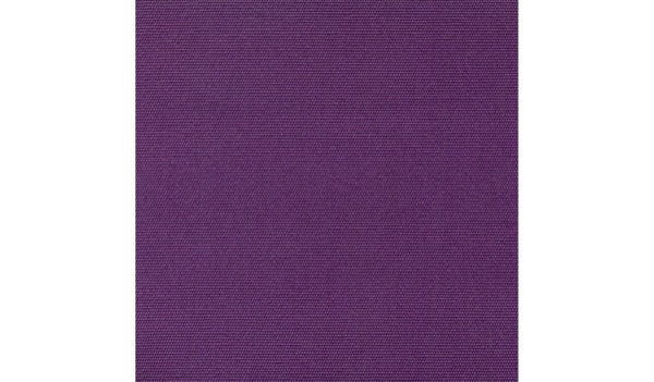 Audinys Amaranth 51