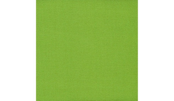 Audinys Apple 81