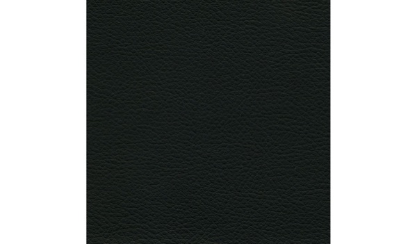 Audinys Black 01
