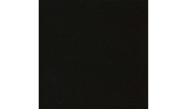 Audinys Black 09