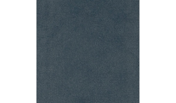 Audinys Blue 419