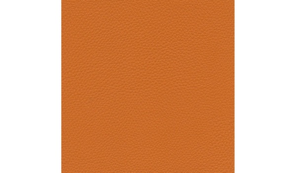 Audinys Citrouille 15