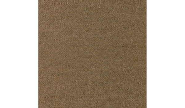 Audinys Dust-22