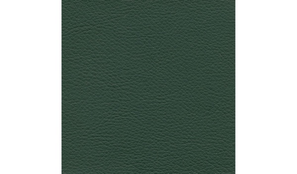 Audinys Forest 611
