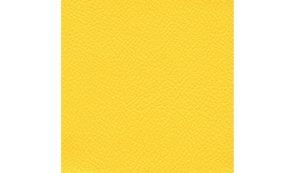 Audinys Forsythia 606