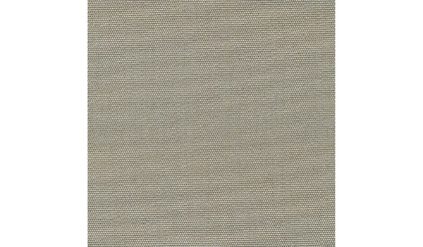 Audinys Gray 06