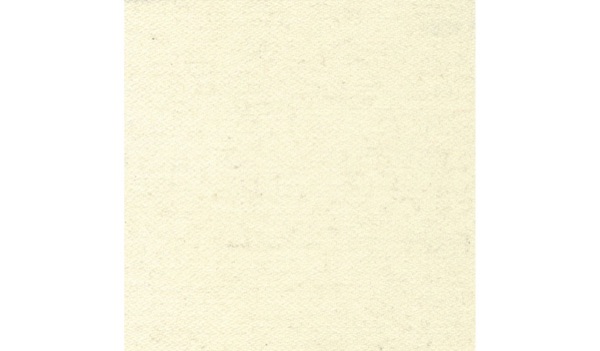 Audinys Ivory-26